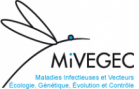 image mivegec.png (13.6kB)