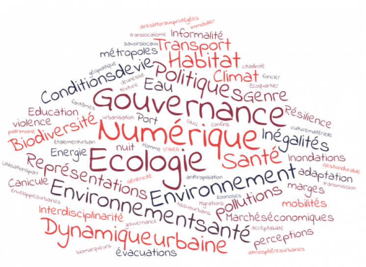 image Sans_titre2.png (0.1MB)