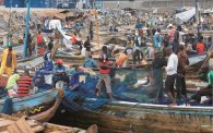 ComOrgaLom_Port_Lome_vignette_780_544_20230417120556_20230417122918.jpg