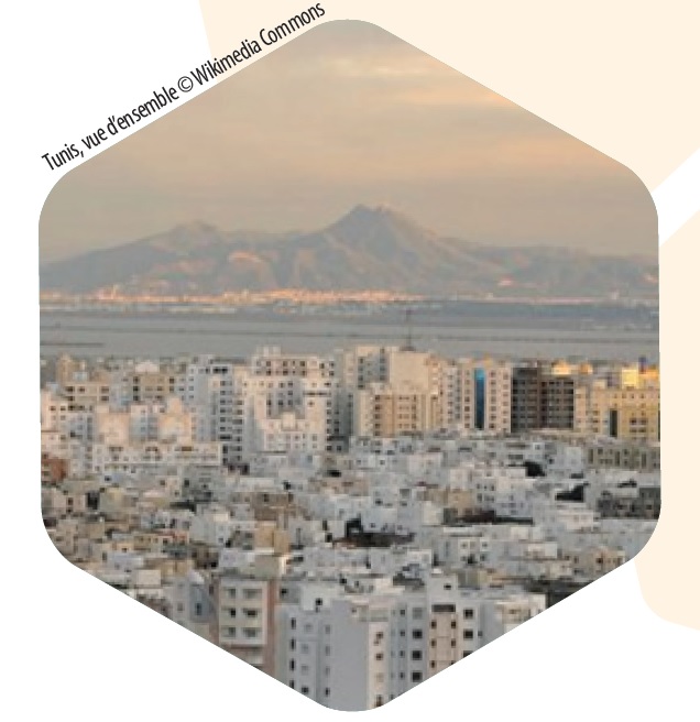 image Photo_Web_Zohra.jpg (85.5kB)